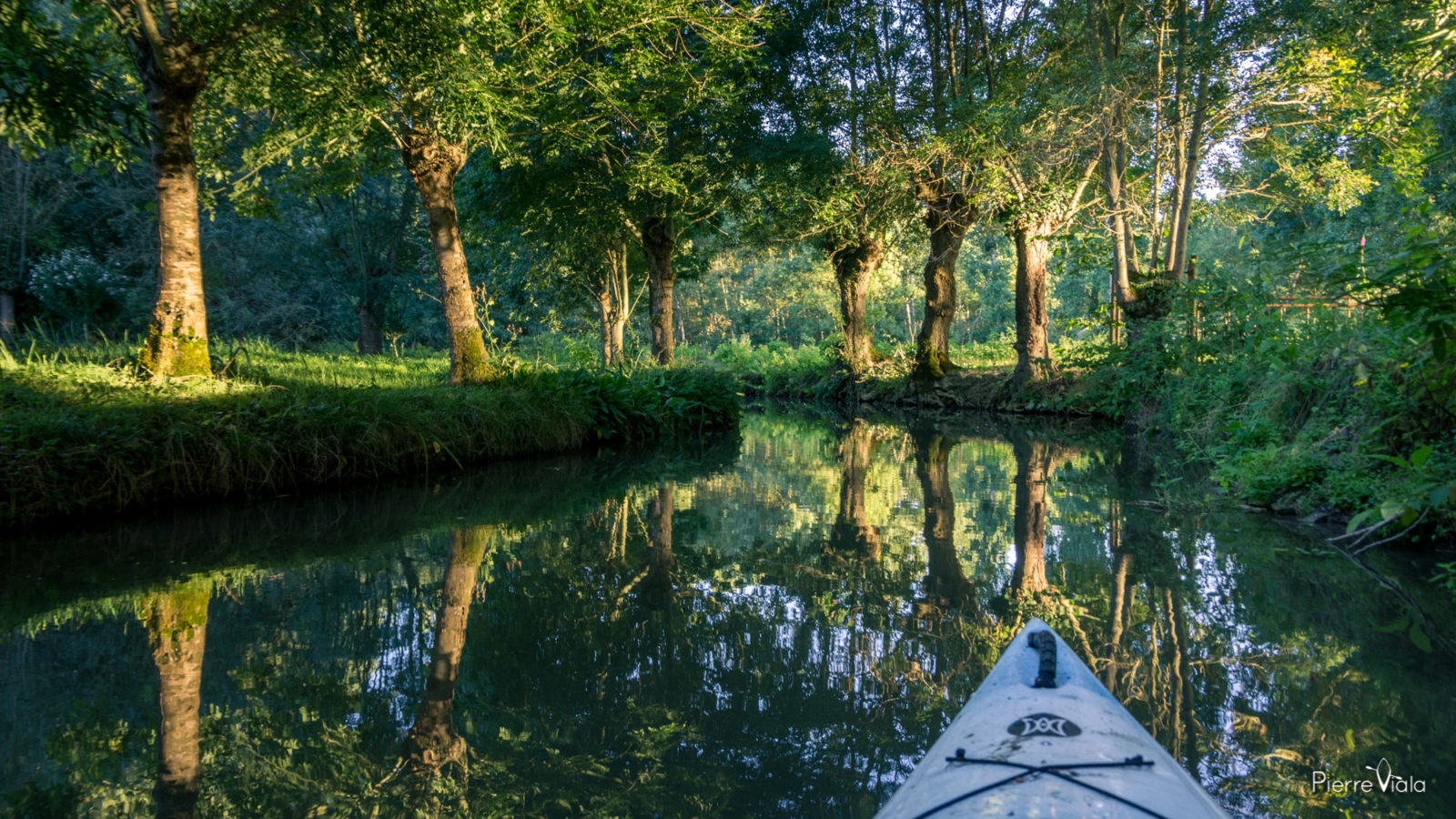 Canoë kayak Marais Poitevin