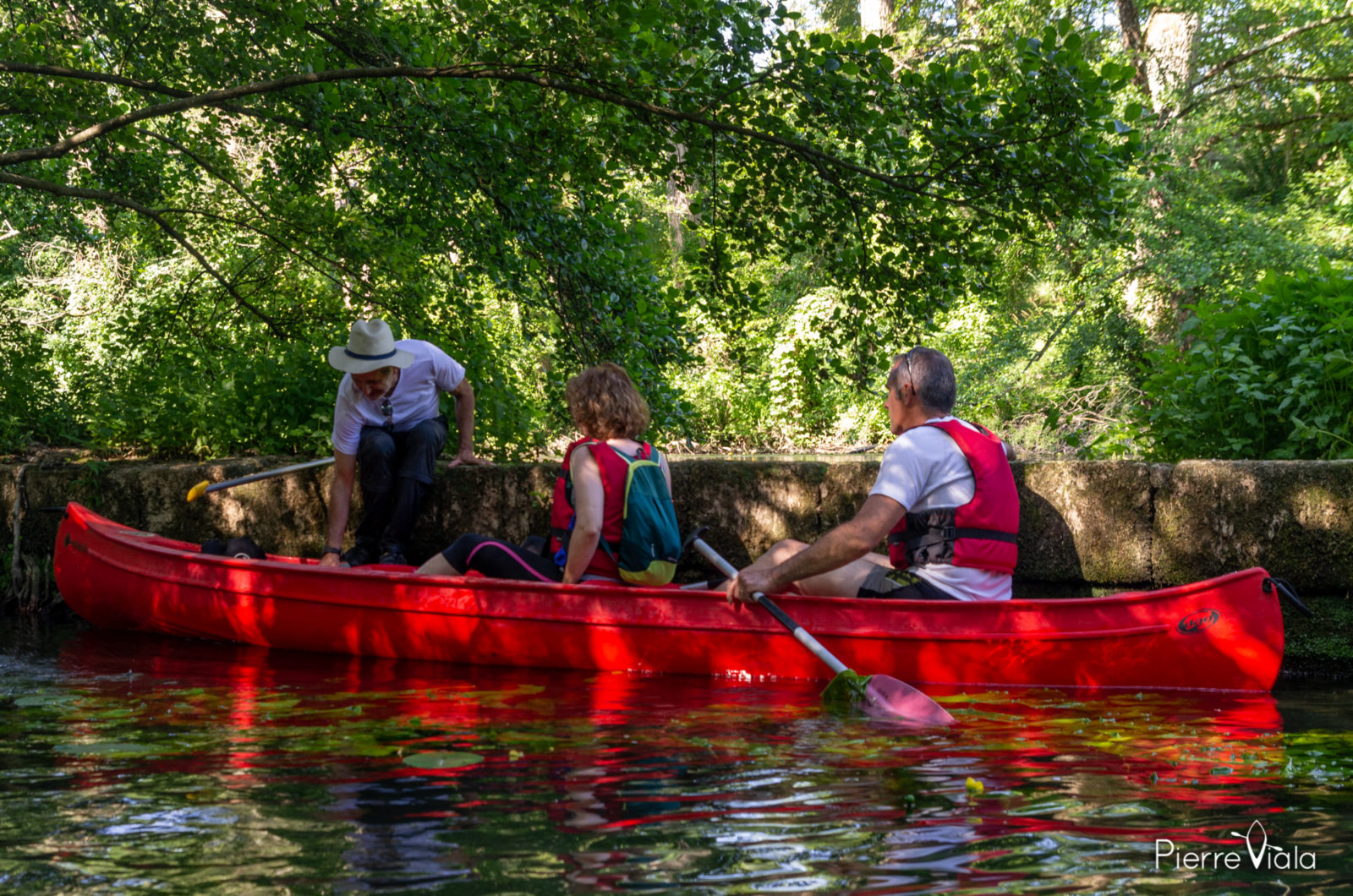 Descente de la Sèvre Niortaise en canoë de Sciecq à Port Boinot Randonnées en Canoë dans le